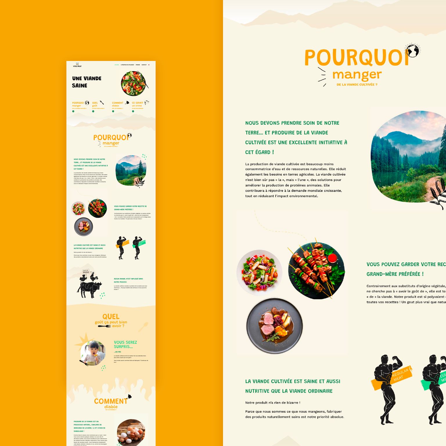 Overview of the website