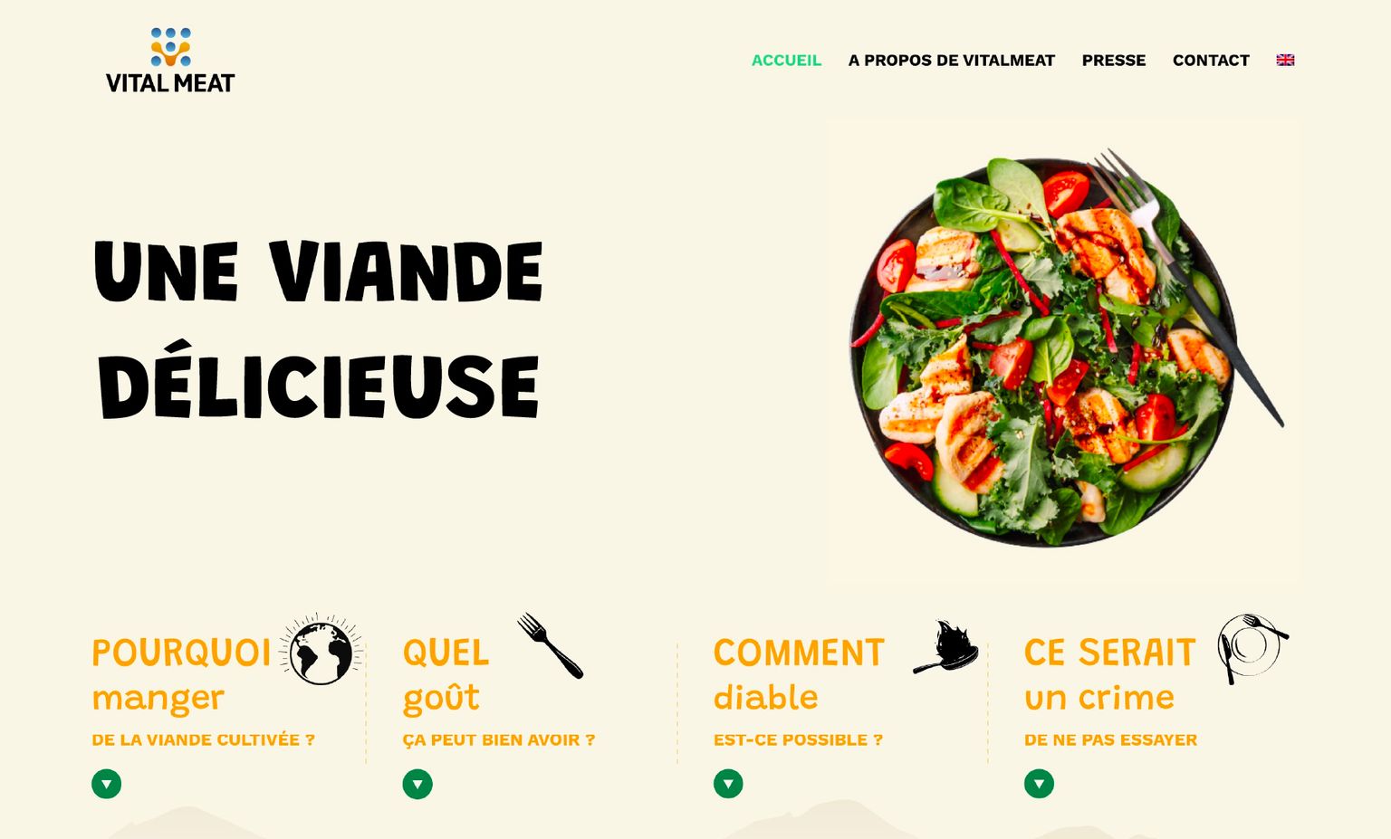 Header of the website