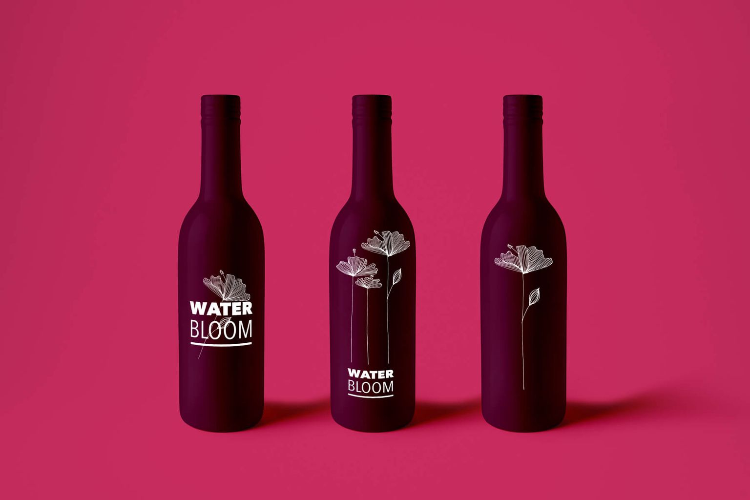 Illustrations